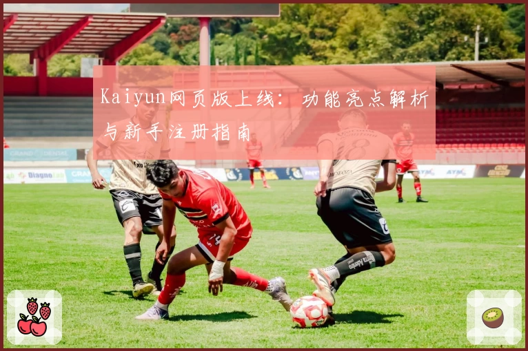 Kaiyun网页版上线:功能亮点解析与新手注册指南